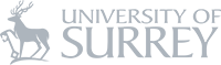university of surrey brand logo medium-size icon